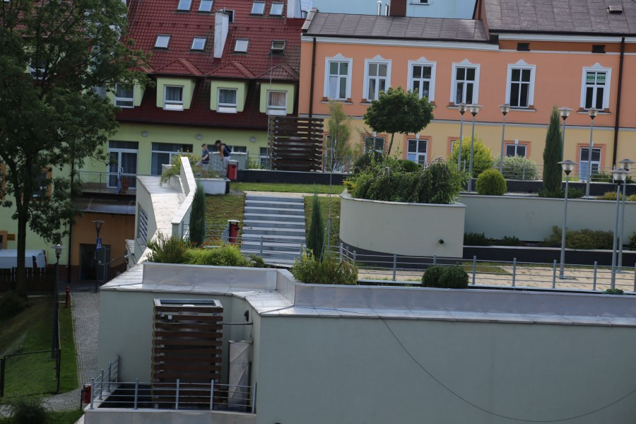 Niebezpieczne zabawy na dachu