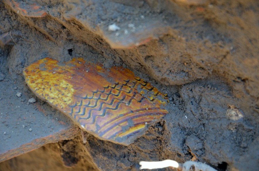 Sensacyjne znalezisko w Myczkowcach [ZDJĘCIA]