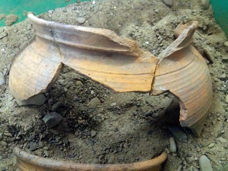 Sensacyjne znalezisko w Myczkowcach [ZDJĘCIA]