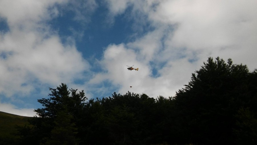 Po linach na ratunek [ZDJĘCIA]