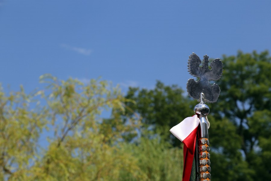 Święto Wojska Polskiego w Sanoku [ZDJĘCIA, WIDEO]