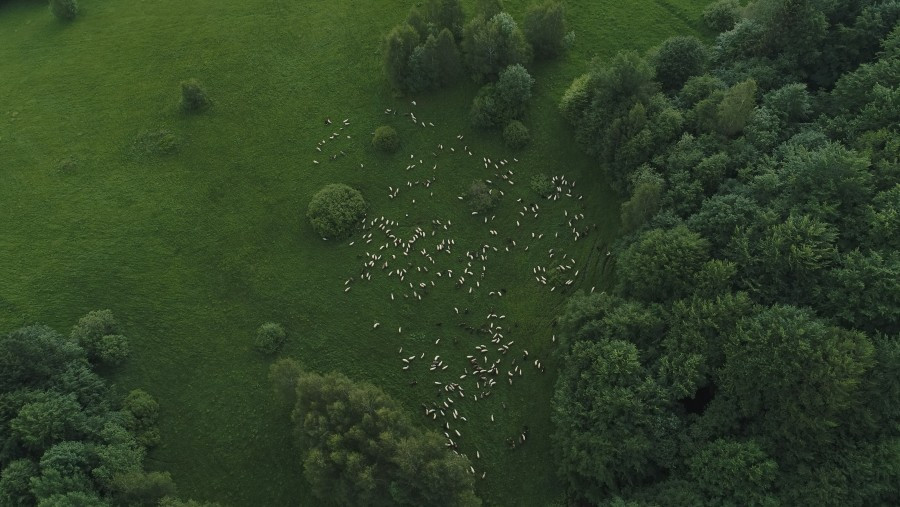 Bieszczady z lotu ptaka [ZDJĘCIA]