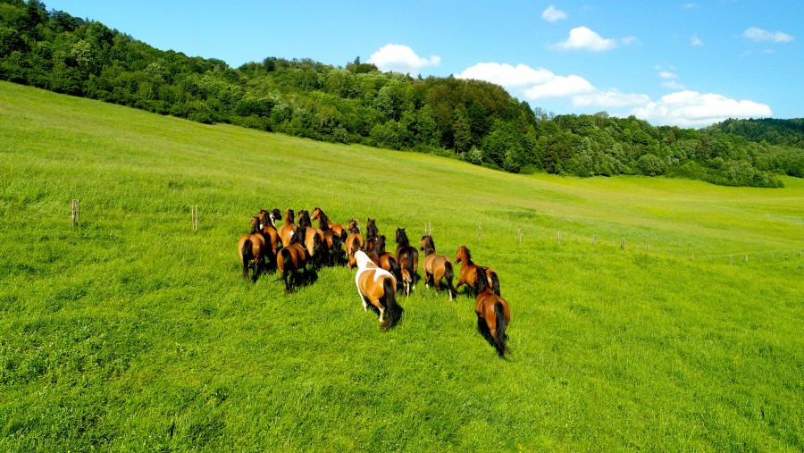 Bieszczady z lotu ptaka [ZDJĘCIA]