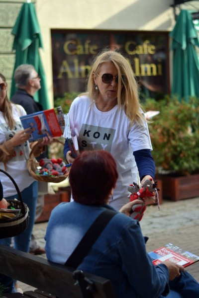 Konstytucja dla sanoczan [ZDJĘCIA, WIDEO]