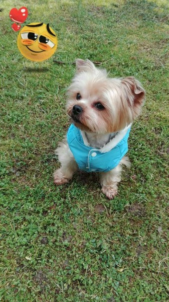 Dziś Światowy Dzień Zwierząt. Pokaż nam swojego pupila! [WASZE ZDJĘCIA]