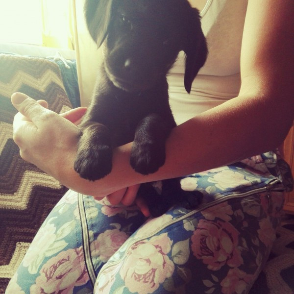 Dziś Światowy Dzień Zwierząt. Pokaż nam swojego pupila! [WASZE ZDJĘCIA]