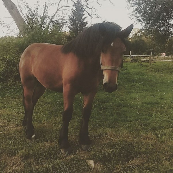 Dziś Światowy Dzień Zwierząt. Pokaż nam swojego pupila! [WASZE ZDJĘCIA]