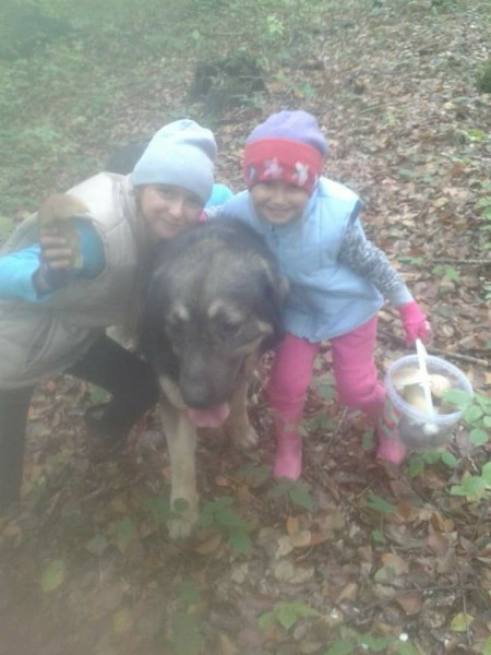 Dziś Światowy Dzień Zwierząt. Pokaż nam swojego pupila! [WASZE ZDJĘCIA]