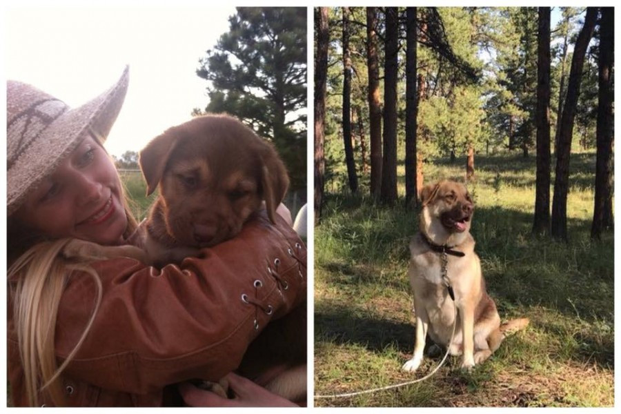 Dziś Światowy Dzień Zwierząt. Pokaż nam swojego pupila! [WASZE ZDJĘCIA]