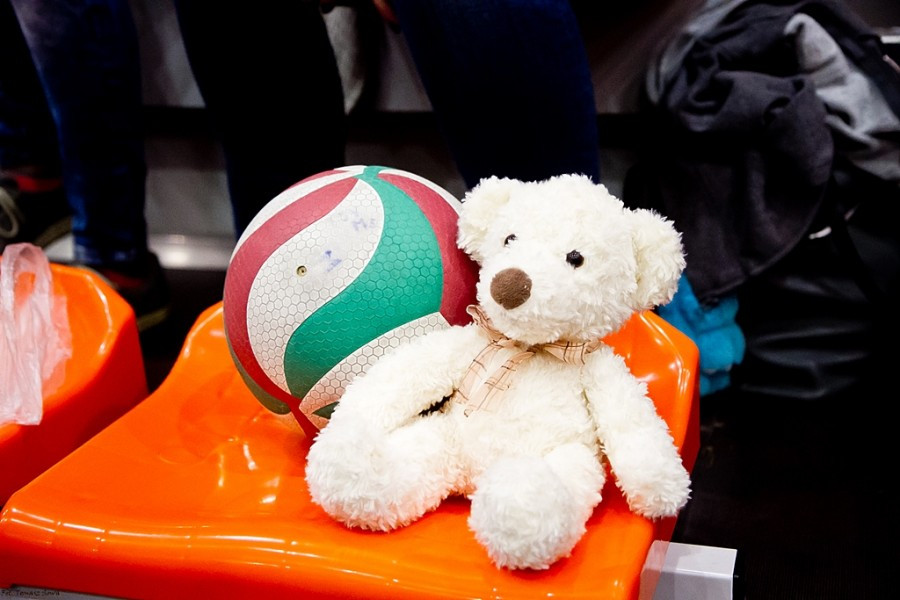 Bezcenne zwycięstwo TSV Sanok [FOTORELACJA, WIDEO]