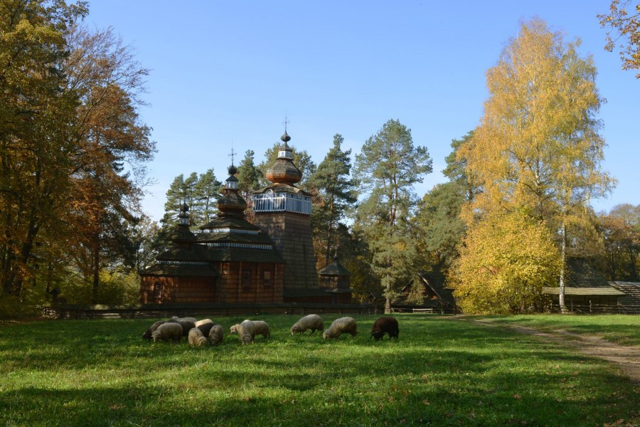 Skansen skąpany w jesiennym słońcu [ZDJĘCIA]
