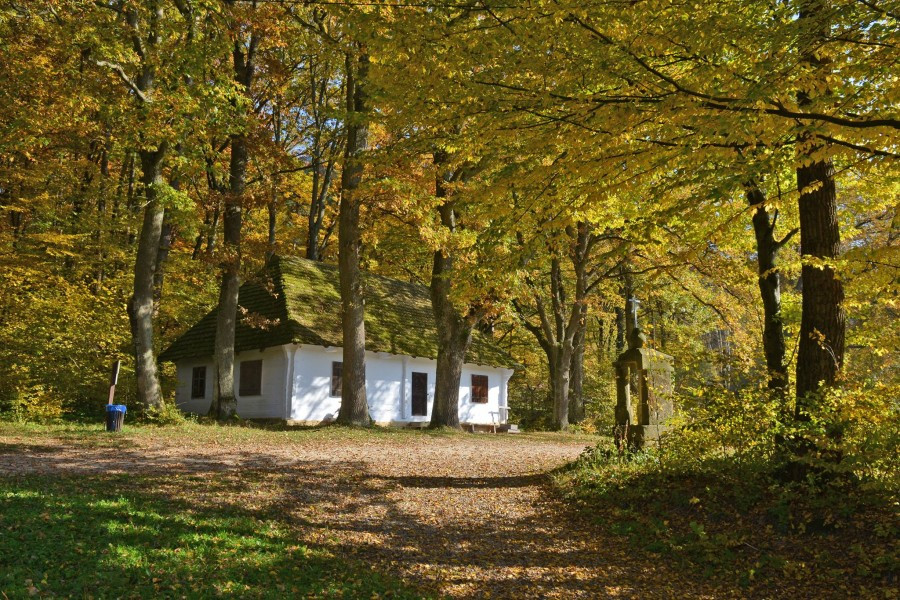 Skansen skąpany w jesiennym słońcu [ZDJĘCIA]