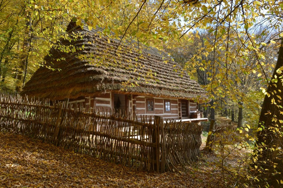 Skansen skąpany w jesiennym słońcu [ZDJĘCIA]