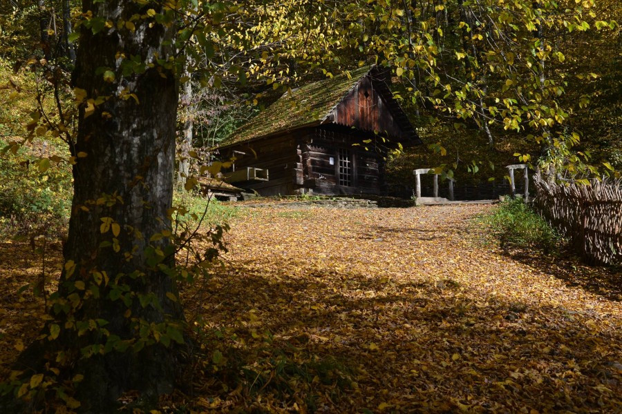 Skansen skąpany w jesiennym słońcu [ZDJĘCIA]