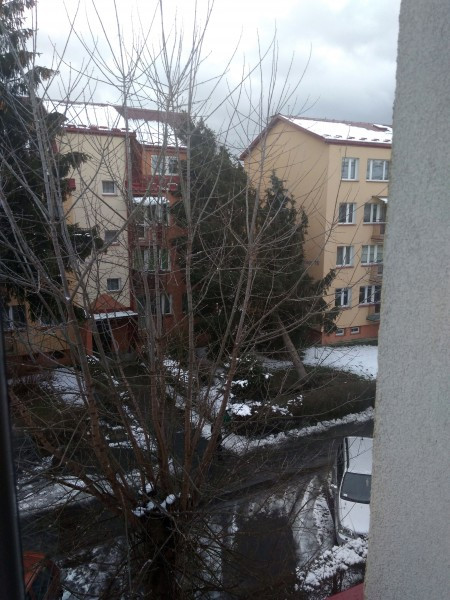 Wichury sieją spustoszenie [WASZE ZDJĘCIA]