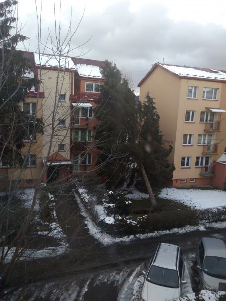 Wichury sieją spustoszenie [WASZE ZDJĘCIA]