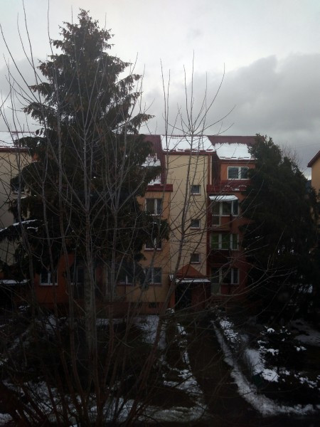 Wichury sieją spustoszenie [WASZE ZDJĘCIA]