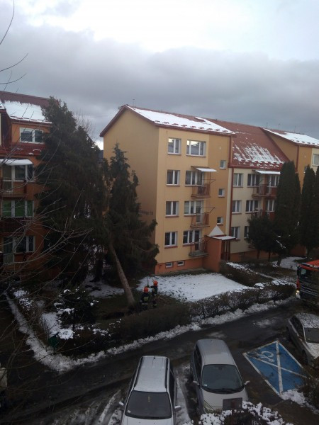Wichury sieją spustoszenie [WASZE ZDJĘCIA]