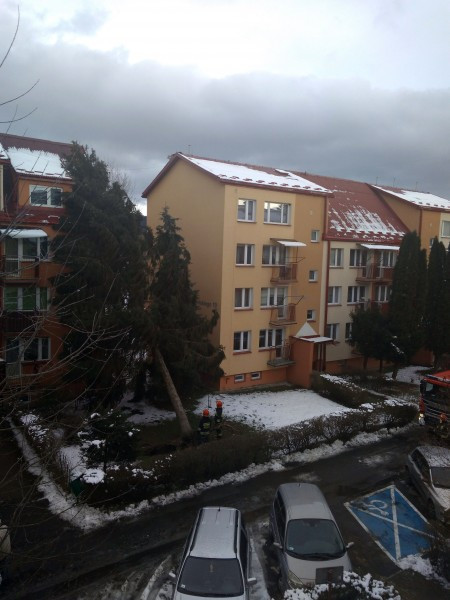 Wichury sieją spustoszenie [WASZE ZDJĘCIA]