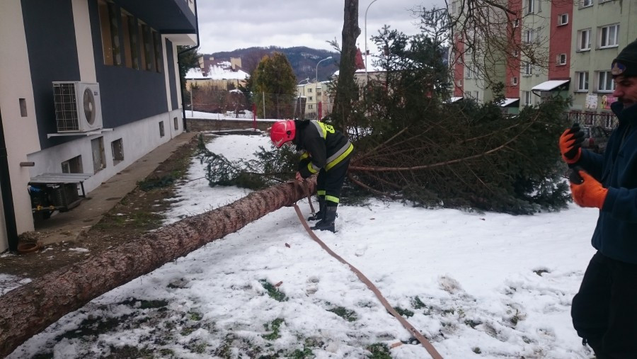 Powalone drzewa, zerwane dachy, zniszczone samochody. Krajobraz po wichurach [ZDJĘCIA]