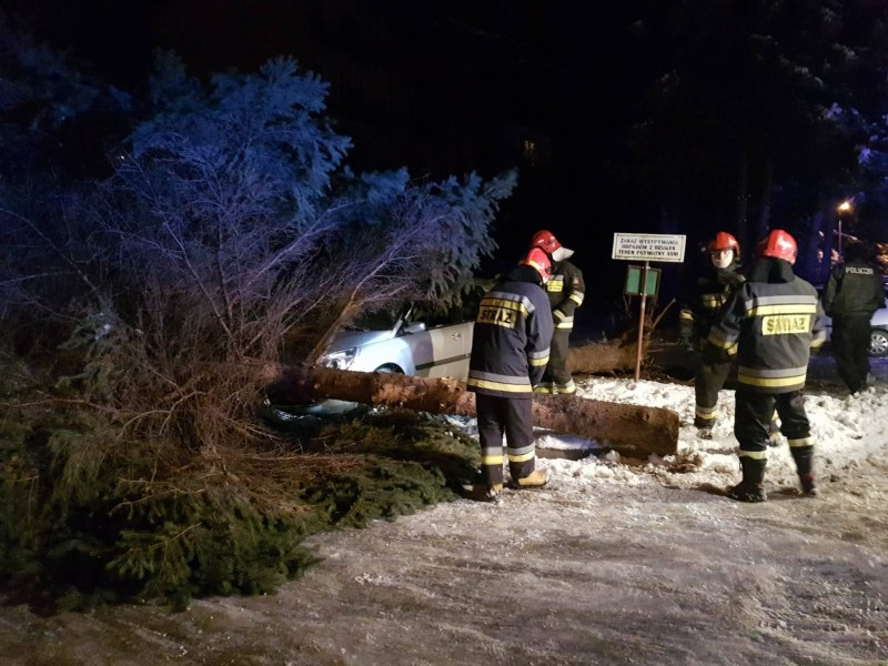 Bubel i to niebezpieczny [ZDJĘCIA]