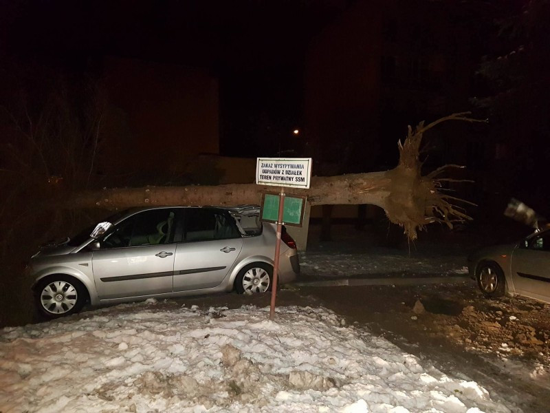 Bubel i to niebezpieczny [ZDJĘCIA]