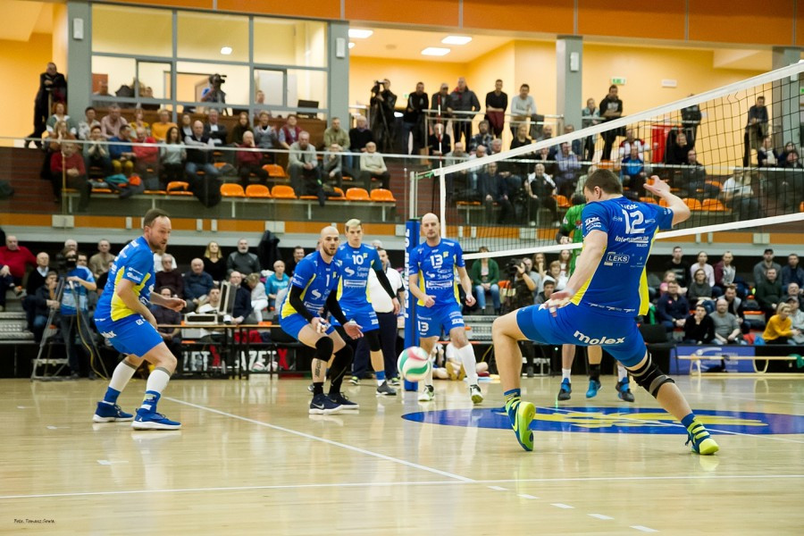 Cenne zwycięstwo TSV Sanok w meczu z Olimpią Sulęcin [FOTORELACJA, WIDEO]