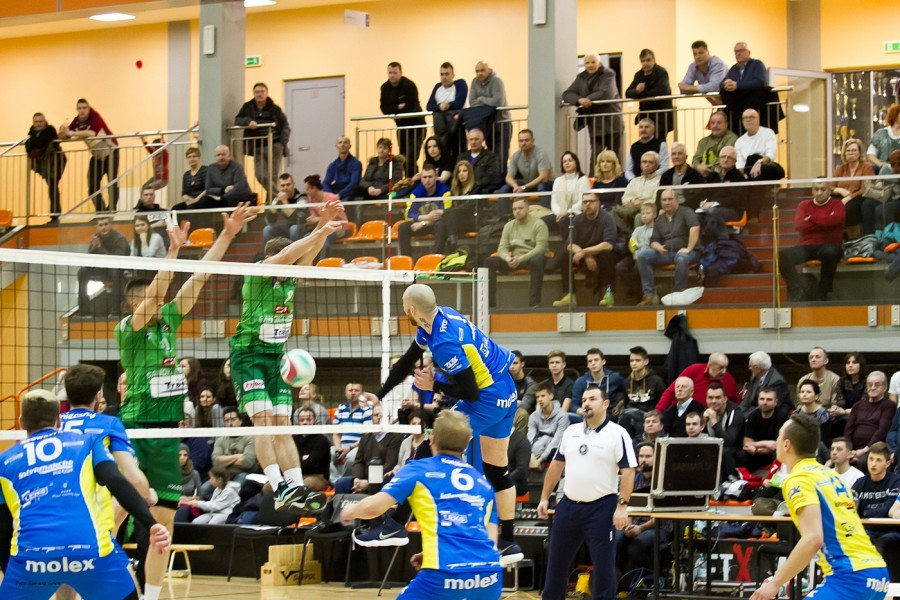 Cenne zwycięstwo TSV Sanok w meczu z Olimpią Sulęcin [FOTORELACJA, WIDEO]