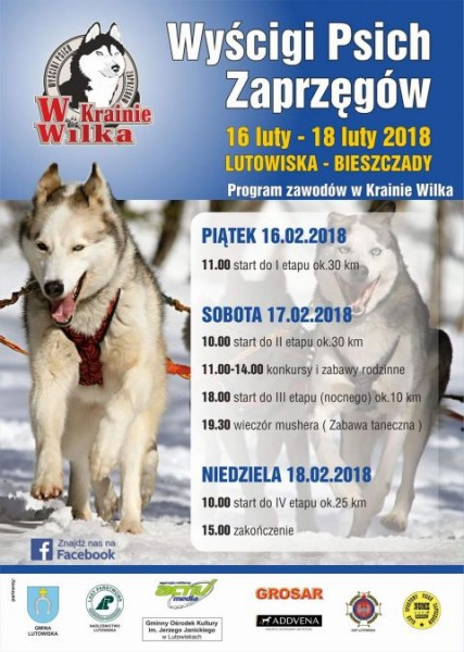 Wyścigi psich zaprzęgów w Lutowiskach