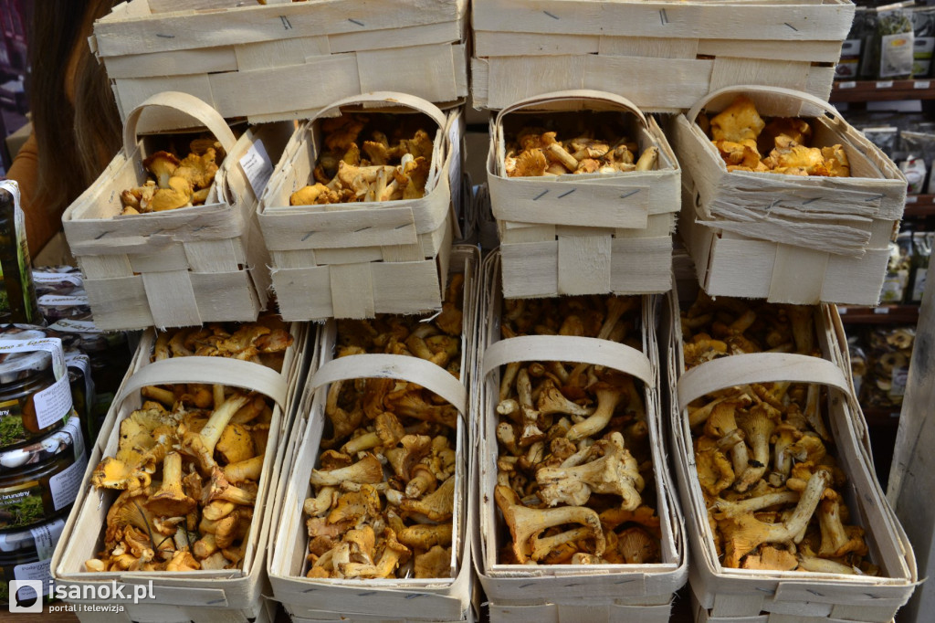 Festiwal Produktów Podkarpackich w Cisnej