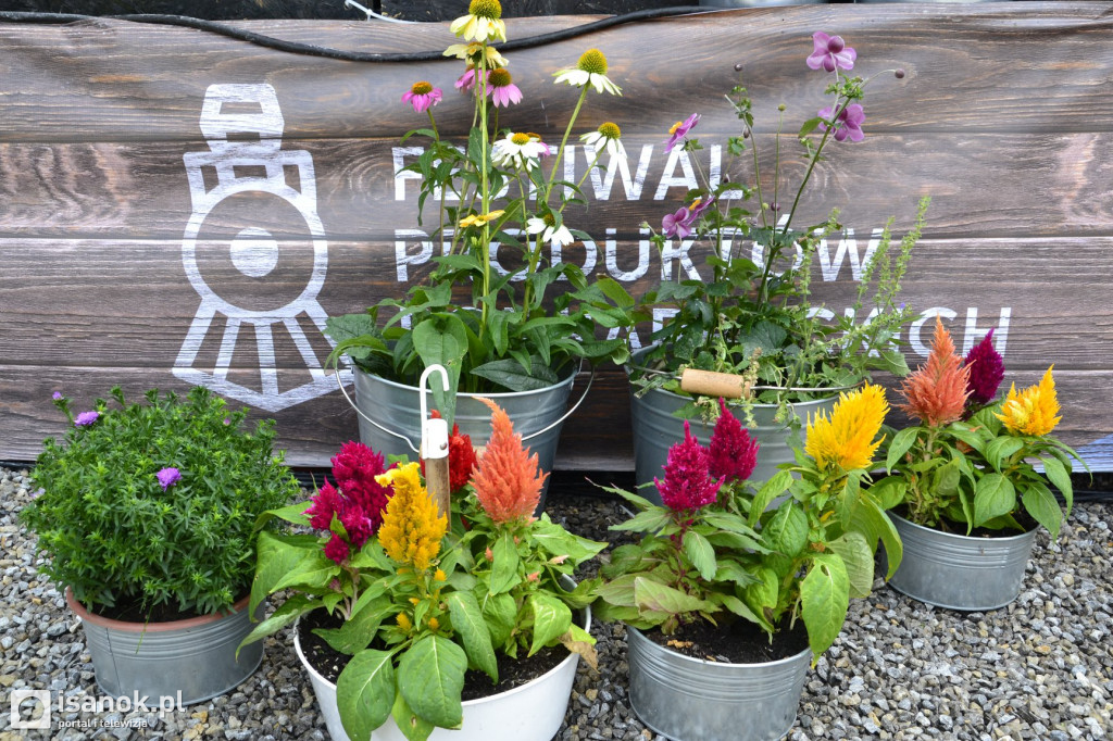 Festiwal Produktów Podkarpackich w Cisnej