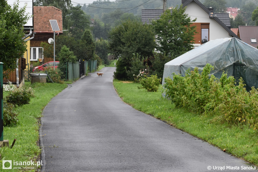 Ponad 70 wyremontowanych ulic