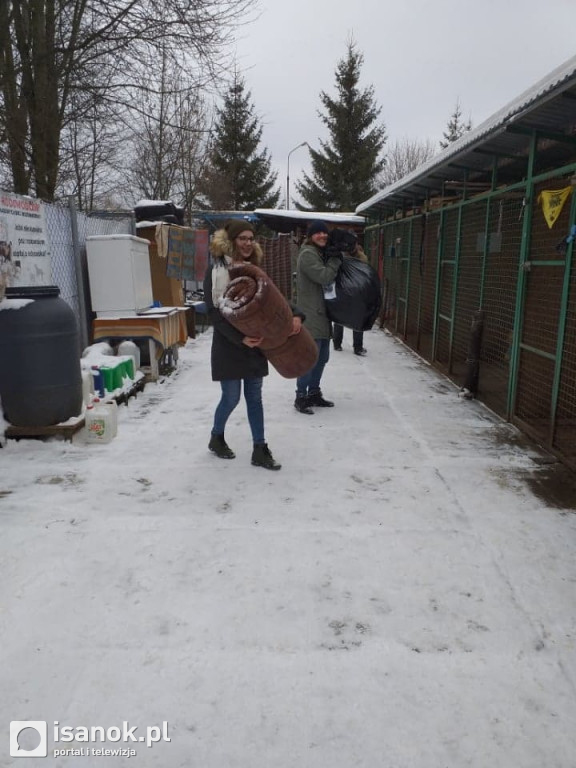 Studenci pracy socjalnej wspierają zwierzaki ze schroniska