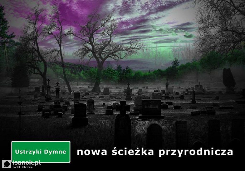 NIE dla Ustrzyk Dymnych. Zobaczcie co przygotowali mieszkańcy