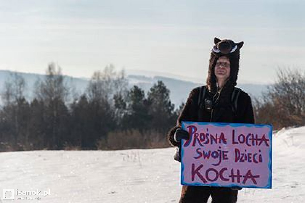 Ludzie w przebraniu stanęli na drodze myśliwych. Bronią dzików.