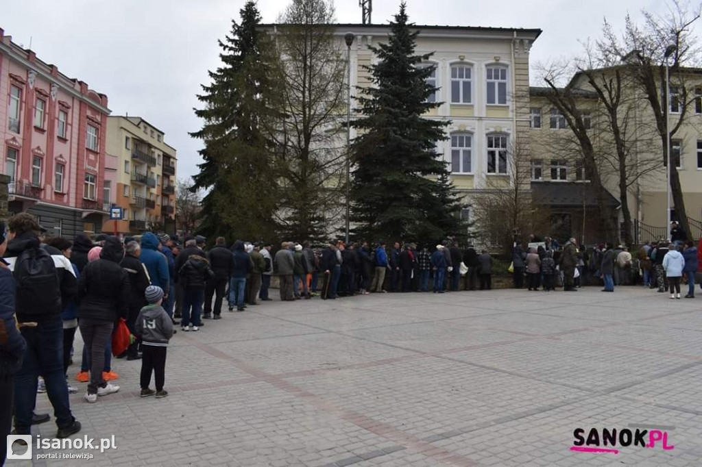 Drzewko dla sanoczan