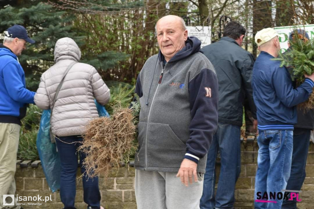 Drzewko dla sanoczan