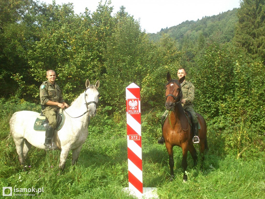 Nowe konie w Bieszczadzkim Oddziale Straży Granicznej