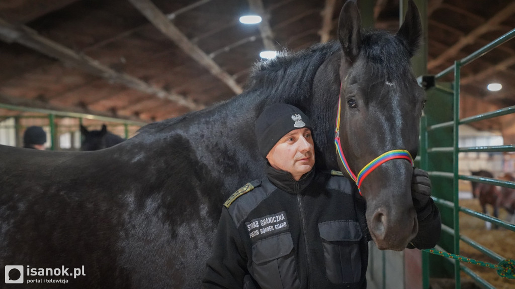 Nowe konie w Bieszczadzkim Oddziale Straży Granicznej