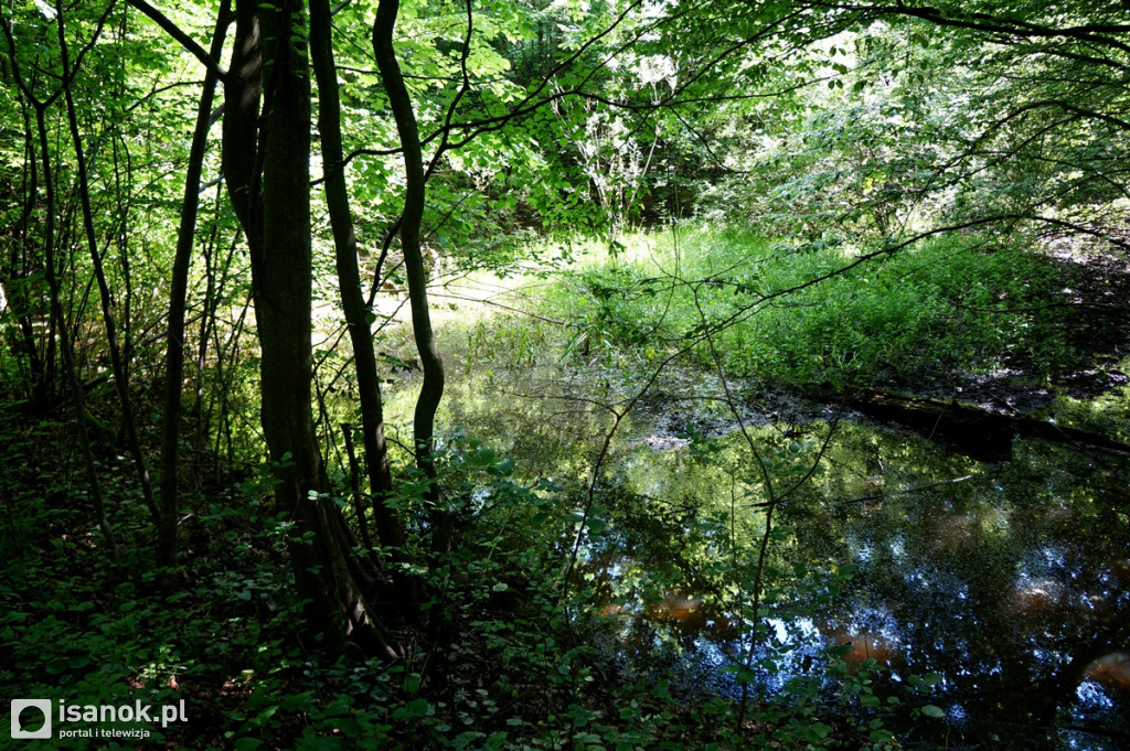 Schodami do zapory wodnej w Myczkowcach