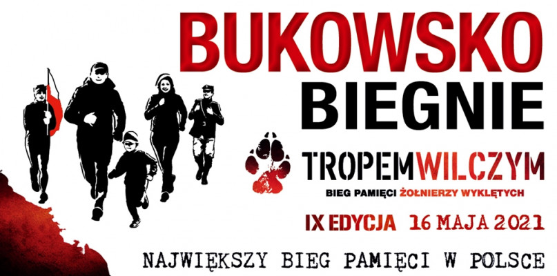 Materiały organizatora