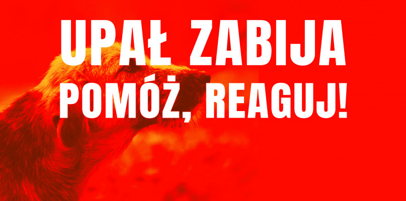 Materiały nadesłane 