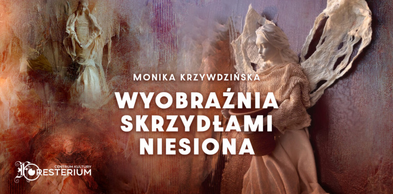 materiały organizatora 