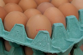 Salmonella na jajach znanej marki. Nie jedz, jeśli masz je w lodówce!-37883