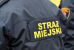 Zapuka strażnik, zapłacisz karę. Ruszyły kontrole w całej Polsce-38566