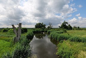 Co dalej z nowym parkiem narodowym? Minister klimatu zdradza plan po wecie-38755
