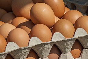Salmonella wykryta w jajach! GIS wydał pilne ostrzeżenie-39007