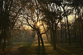 Nadchodzi najkrótszy dzień w 2025 roku. Sprawdź, kiedy przypadnie-39025
