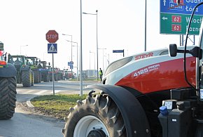 Rolnicy zapowiadają protest w całym kraju. Skala może zaskoczyć-39058