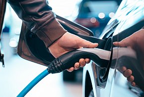 Coraz częściej dochodzi do takich kradzieży. Powody zaskakują-39146